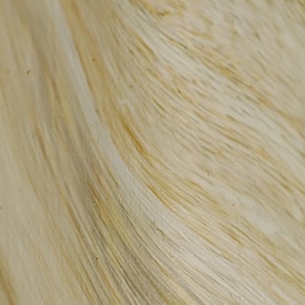 Imagen cercana y difusa de fibra beige